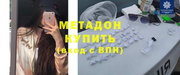 прущие грибы Бородино