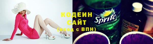 прущие грибы Бородино