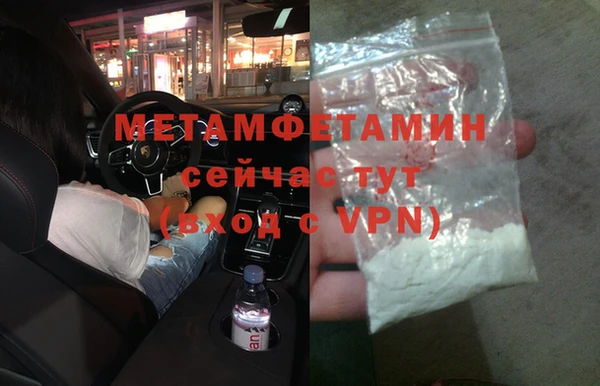 прущие грибы Бородино