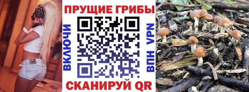 Галлюциногенные грибы MAGIC MUSHROOMS  Купить где  Магадан 